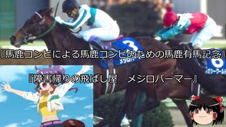 【競馬】ゆっくりさんと未来に語り継ぎたい名馬たち その016【ゆっくり朗読】