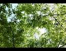 [ニコラップ] 略語へラップ [空き缶]