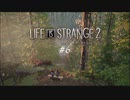 【ゲーム実況】状況が違えば楽しい思い出になってたんやろな【Life is Strange 2】