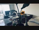 Beautiful World / IA