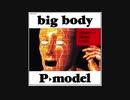 pーmodel