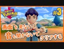 【ポケモンx縛りプレイ】見ざる聞かざるポケモン剣盾 第3話 - ループって怖くね？の巻【画面を見ないし音も聞かないでクリアする】