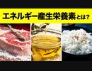 人が生きていくために必要な栄養素 エネルギー産生栄養素とは？【ビーレジェンド プロテイン】