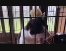 無条件の波動３８９　～愛の波動を感じて～