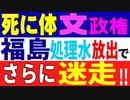 文政権、福島処理水の放出を巡って迷走！　お決まりの反日戦略の効果は？