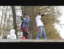 【エイデイズ】エンゼルフィッシュ を踊ってみた【きんし，ArT】
