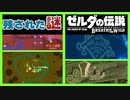 [考察 #09] ブレスオブザワイルド 謎のマークなど ゾナウ 続編 ゼルダの伝説