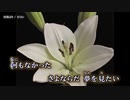 【ニコカラ】空洞より【onvocal】