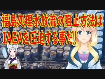 韓国の原子力工学科教授「福島の処理水放流の解決策はIAEAを圧迫する事だ！」【世界の〇〇にゅーす】