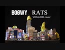 BOØWY  / RATS(ボカロカバー)【kokone】