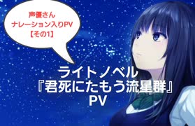 もし現役ライトノベル作家が自分の本のPVを作ったら……『君死にたもう流星群』 No.17