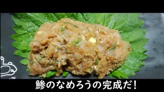 【鯵のなめろう】自分をトリコと信じて止まない一般エルフVtuberがアレで粉砕する動画