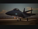 ACE COMBAT 7 主観だけでF-15 S/MTD