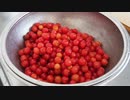 さくらんぼのジャムとブラバンターシュニッテン