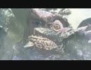 【MHRise】オオナズチのBGMが全く気づかない内にエルシャダイになる
