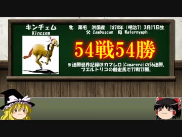 名馬解説　キンチェムついて