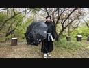 【名門呪術師】神のまにまに踊ってみた【か◇が◇み】