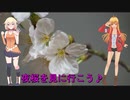 サンバーで行く！夜桜ライトアップ♪