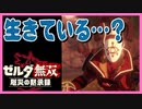 考察 [キャラの考察] ゼルダ無双　厄災の黙示録 ブレスオブザワイルド