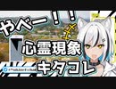 【Cottage】バグを繰り返し最後に心霊現象に襲われる雪音こはく【フードデリバリーサービス】