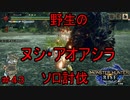 【実況】MHR#43　野生のヌシ・アオアシラが現れた！