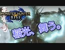 【双剣第一】モンスターハンターRISE#20（里クエ★４トビカガチ）
