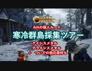 [MHRise]寒冷群島採集ツアーでアイシスメタル・グライシスメタル集めの個人ルート