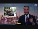 ヤクザ国家のコソドロ警察