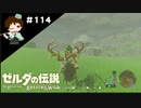 【実況】マスターモードでやりこみサバイバル生活！！　Part114【ゼルダの伝説　BotW】