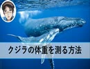 クジラの体重を計る方法