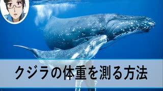 クジラの体重を計る方法