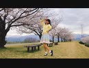 【ひかり.】ハルイチ。  踊ってみた【春】