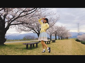 【ひかり.】ハルイチ。  踊ってみた【春】