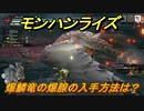 モンハンライズ　爆鱗竜の爆腺の入手方法は？　＃５５６【ＭＨＲ】