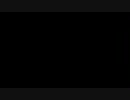 chat_noir4696