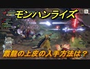 モンハンライズ　霞龍の上皮の入手方法は？　＃５６０【ＭＨＲ】