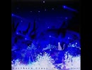 【ノスタルジアOp.3】Northern Cross / BlackY