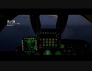 Project Wingman Part.1　「黒い旗」