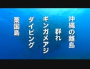 ギンガメアジ群れ！粟国島ダイビング