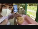 牧場で動物と触れ合うど！抜粋【ユキちゃん】