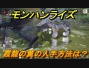 モンハンライズ　霞龍の翼の入手方法は？　＃５６２【ＭＨＲ】