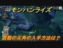 モンハンライズ　霞龍の尖角の入手方法は？　＃５６５【ＭＨＲ】