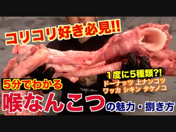 【ホルモン界コリコリ王】喉軟骨の魅力と捌き方!!