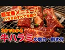 焼肉の定番牛ハラミのすべてを紹介!!