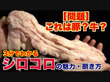 これって何？定番ホルモン「シロコロ」の魅力と捌き方