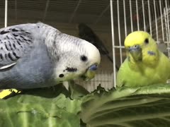 そっと覗いてみてごらん