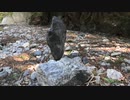 [珍百景]直立不動の石