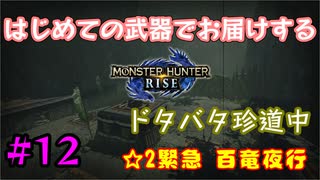 【MHRise】#12 はじめての武器でお届けするドタバタ珍道中 【☆2緊急 百竜夜行】