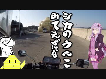 カブ旅どうでしょう～香川うどん旅～第二夜「直島観光」