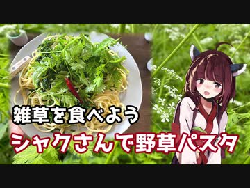 【思い切って野草を食べてみよう】#14 シャクさんで「野草パスタ」！